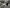 blur (4) School Tables