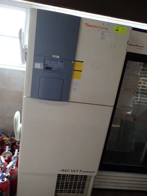 (1) Thermo Forma -86C ULT Freezer