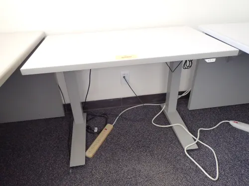 Adjustable Height Standing Desk (10th Floor West)