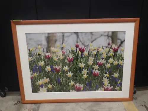 (1) 59" X 43" Medium Framed Artwork	