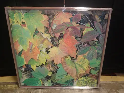 (1) 51" X 48" Medium Framed Artwork