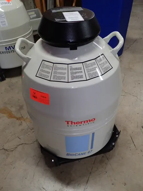 (1) Thermo Scientific BioCane 47 Nitrogen Tank