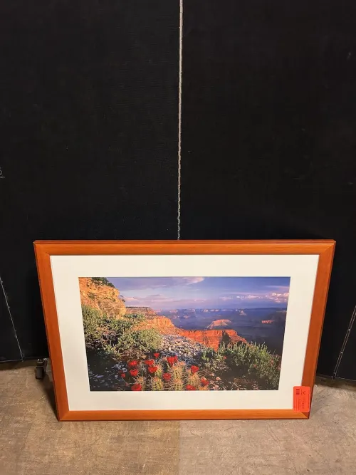 (1) 25" x 33" Claret Cup Cactus Framed Artwork 