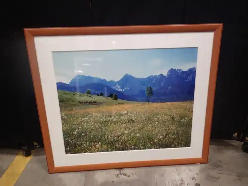 (1) 43" X 51" Blooming Mountain Meadows in Front of Karewendel Mountains Medium Framed Artwork by Freytag
