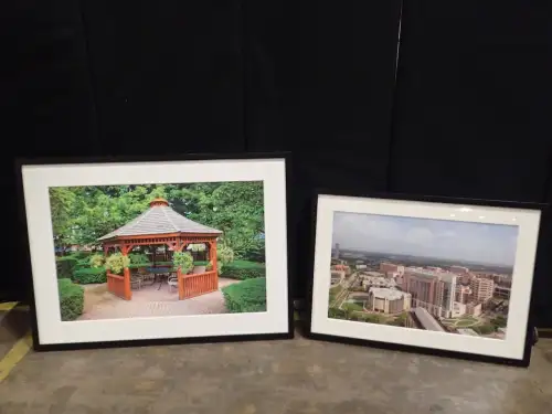 (4) Framed Artwork