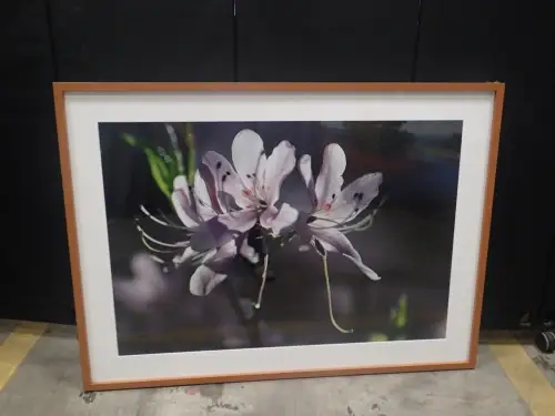 (1) 59" X 43" Medium Framed Artwork