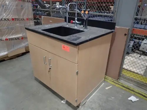 Laboratory Sink and Cabinet