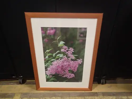 (1) 59" X 43" Medium Framed Artwork