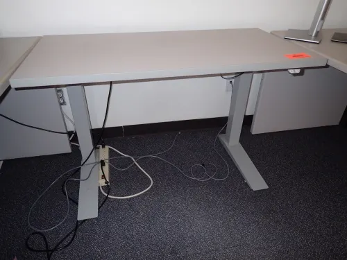 Adjustable Height Standing Desk (9th Floor East)