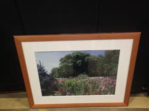 (1) 41" X 31" Medium Framed Artwork