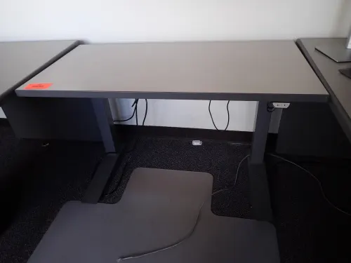 Adjustable Height Standing Desk (9th Floor East)