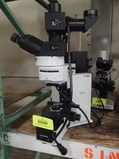(1) Olympus BX50WI Microscope