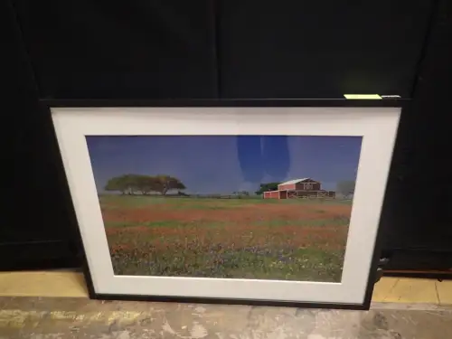 (1) 46" X 34" Medium Framed Artwork