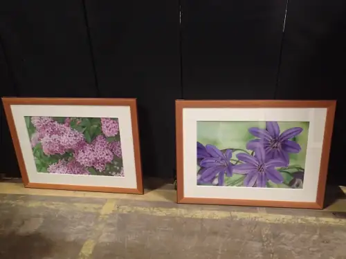 (2) 41" X 32" Medium Framed Artwork