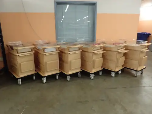 (6) Rolling Bassinets