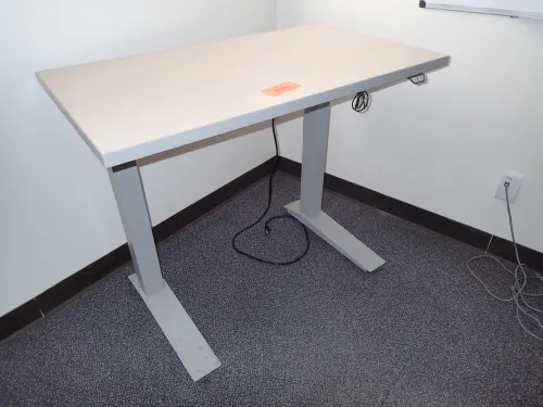 Adjustable Height Standing Desk (9th Floor West)