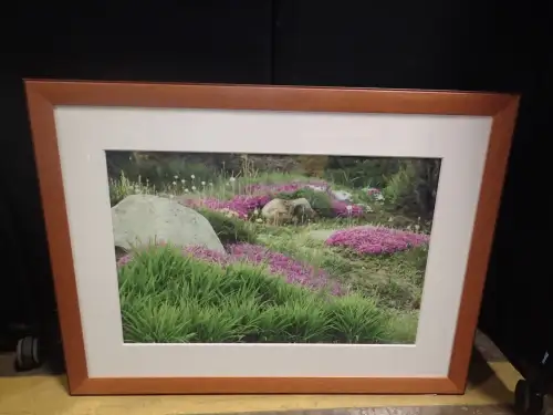 (1) 31" X 41" Medium Framed Artwork - Garden Design with Rocks and Flowers by Natalia