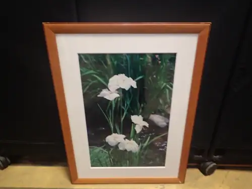 (1) 24" X 32" Medium Framed Artwork