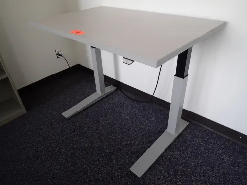 Adjustable Height Standing Desk (9th Floor West)