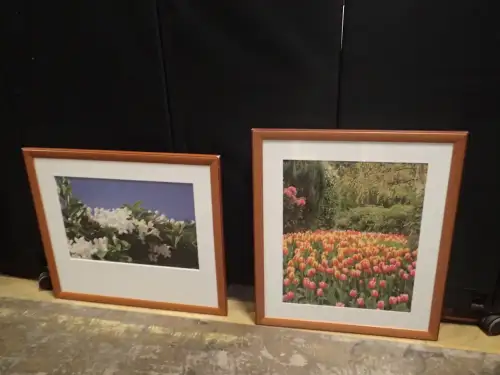 (2) 32" X 28" Medium Framed Artwork