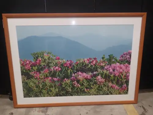 (1) 71" X 51" Large Framed Artwork