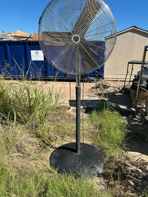 Pedestal Fan