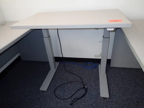 Adjustable Height Standing Desk (6th Floor West)