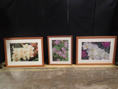 Framed Artwork Lot