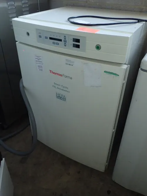 (1) Thermo Forma Steri-Cycle CO2 Incubator