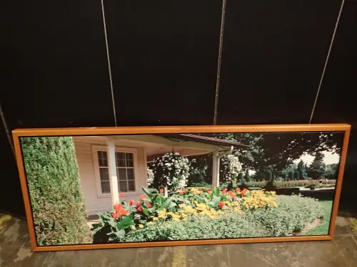 (1) 75" X 38"  Large Framed Artwork