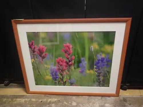 (1) 54" X 43" Medium Framed Artwork