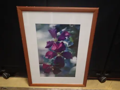 (1) 26" X 34" Medium Framed Artwork