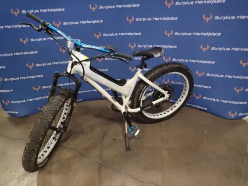 (1) Polaris Ebike