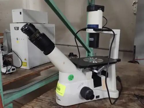 (1) Fisher Scientific Microscope With (3) Objectives