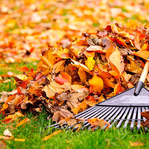 fall-leaf-cleanup-everett-landscape-services-southeast-pa