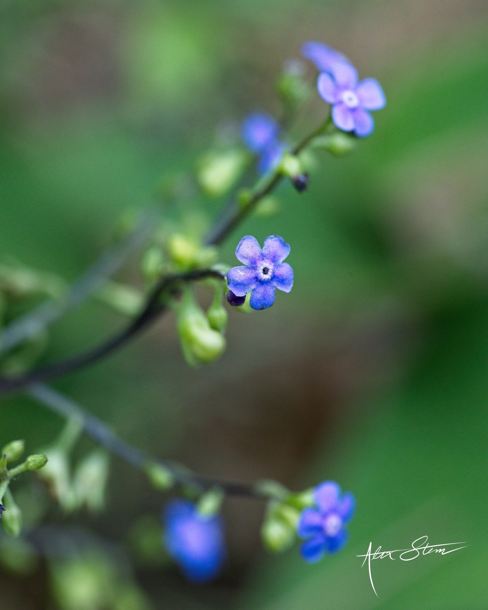 IMG_0963_1_w9bqcs