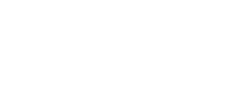 bullyland logo