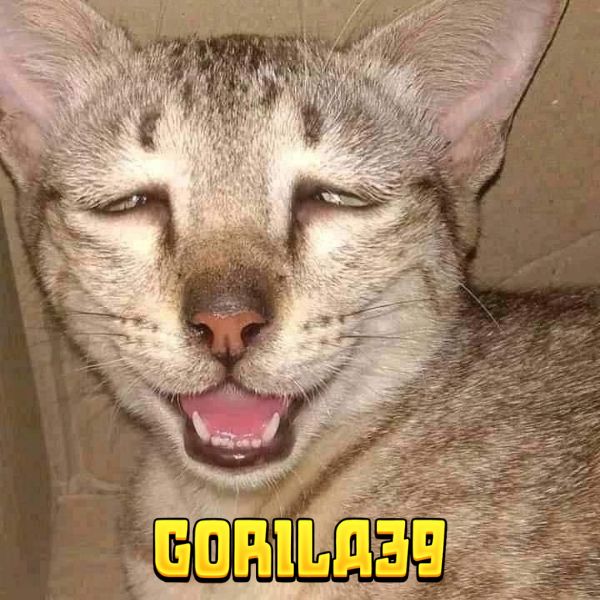 Gorila39 |Situs Slot Gacor Terpercaya Pembayaran Gopay Bebas Potongan