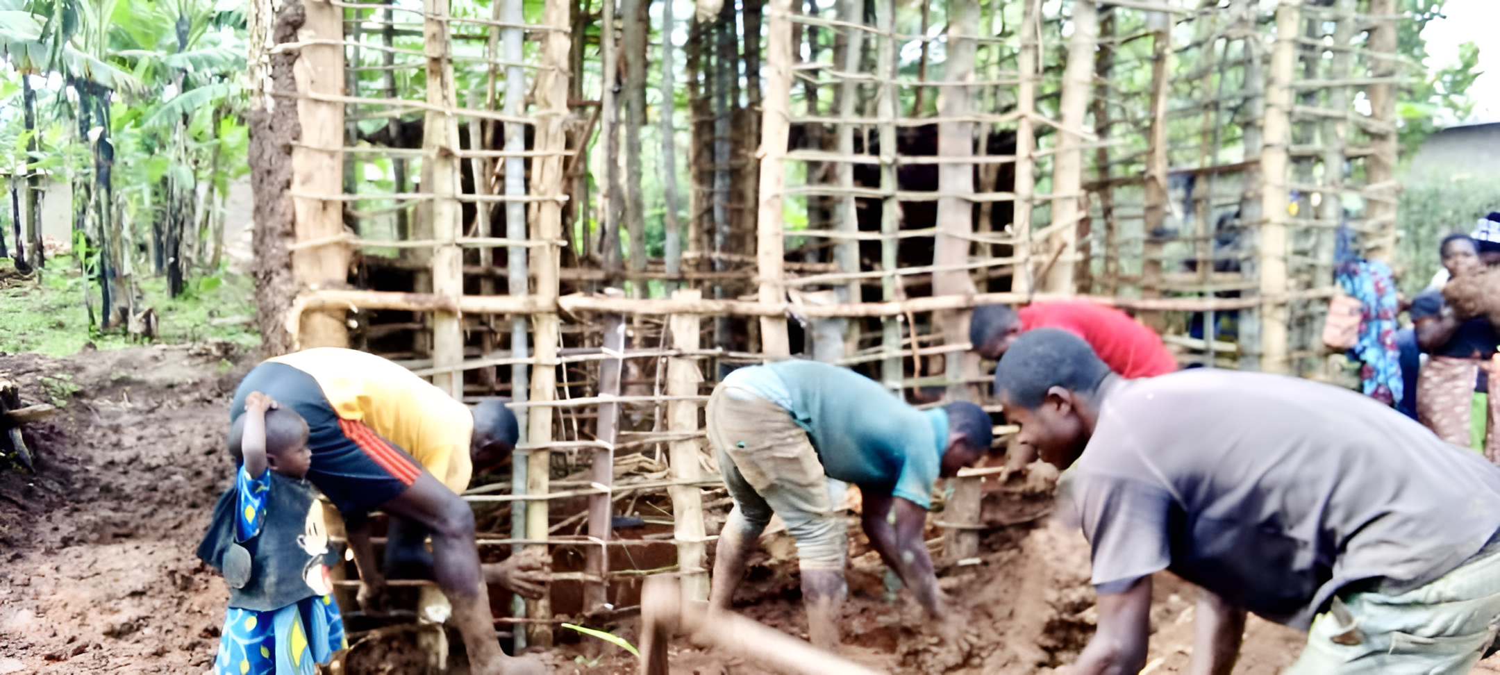 Young people from Imbaduko y’Iterambere – Murambi SILC group building Nteziryayo Eric’s house.
