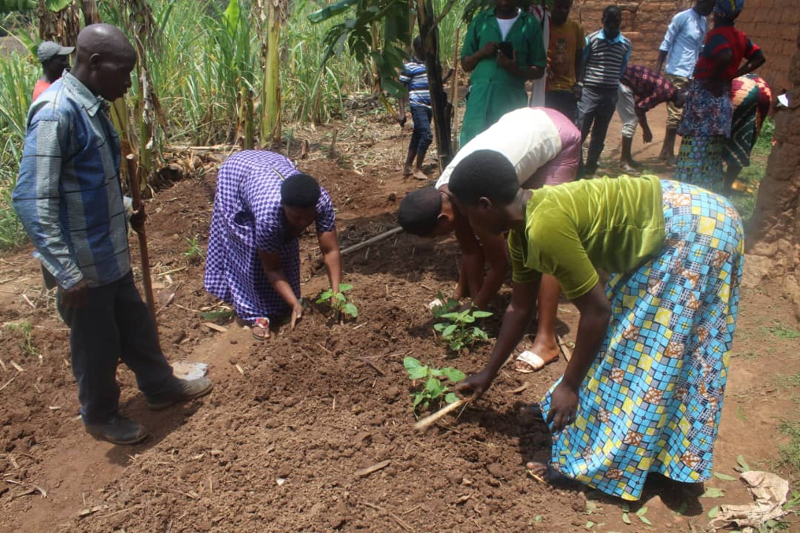 Men are involved in establishing kitchen gardens at HBECDs.