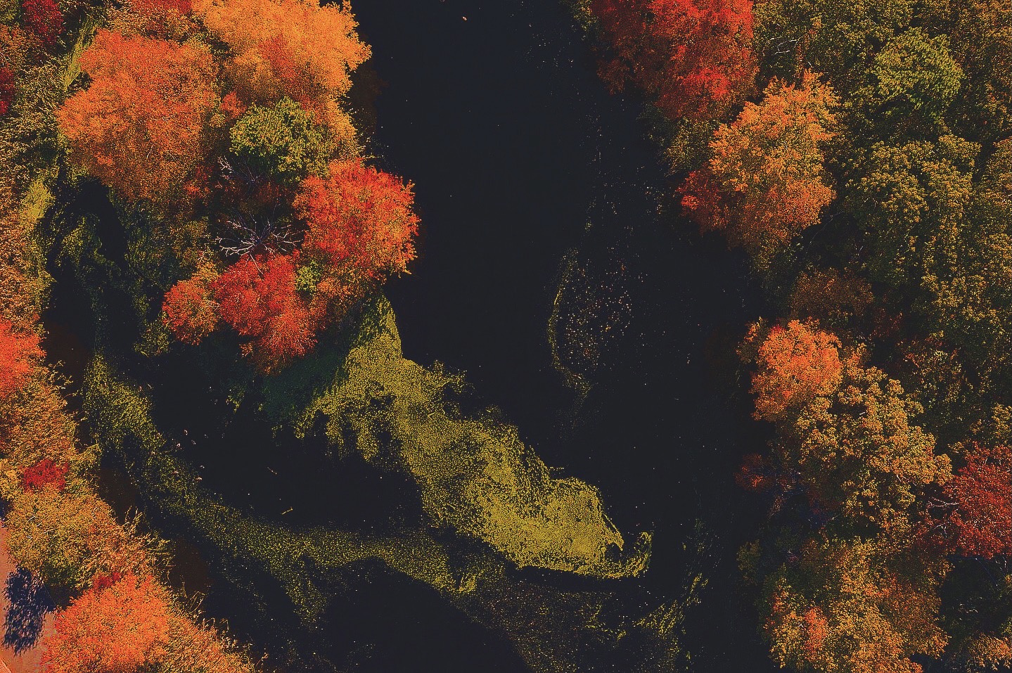 The Strength In Presence