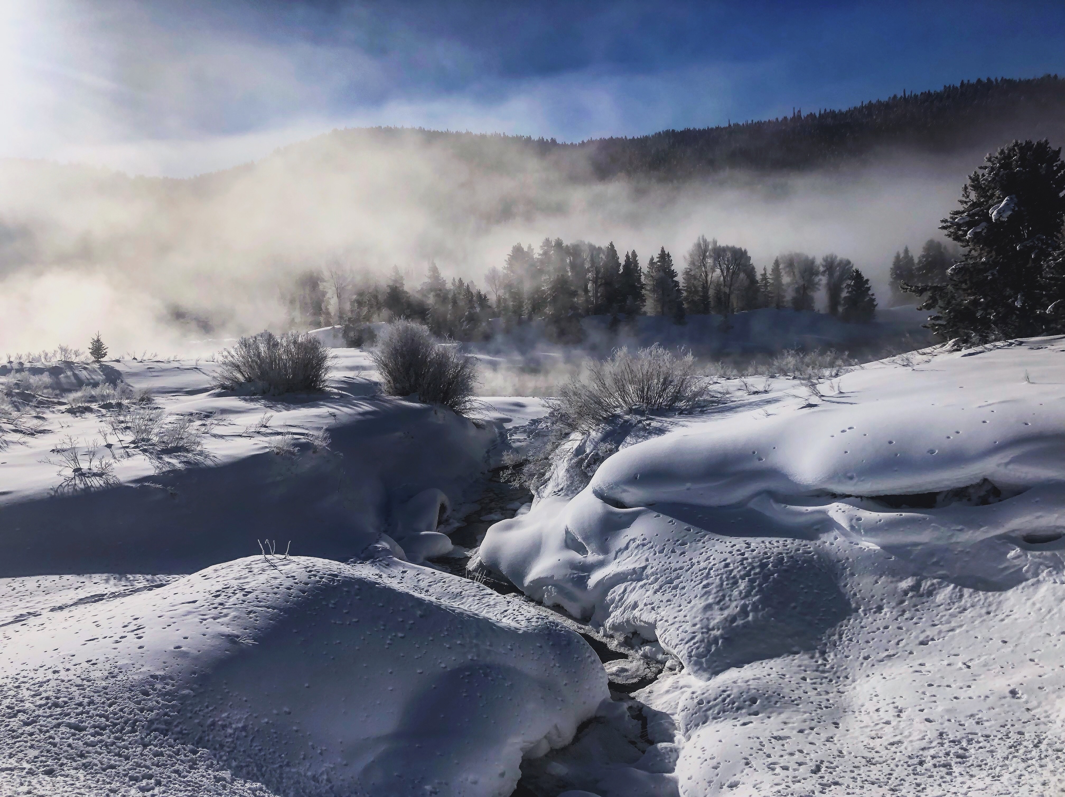 Meditation, Inner Sanctuary, and the Root of Letting Go