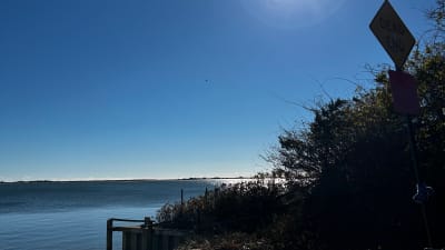 A Reflection On The Bay