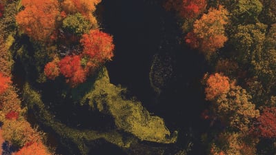 The Strength In Presence