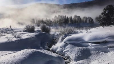 Meditation, Inner Sanctuary, and the Root of Letting Go