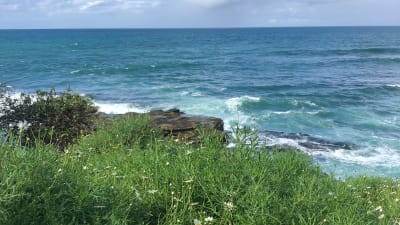 The Day I Broke My Neck Part 2: A Salty Soul and Broken Bones