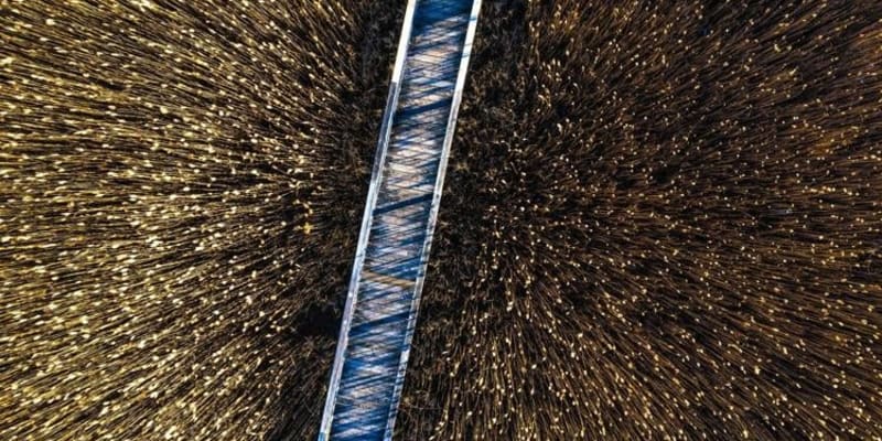 Matthew Raynor Exhibits His Art at LTV Studios