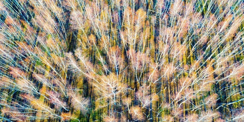 Matthew Raynor Photography At Southampton Cultural Center