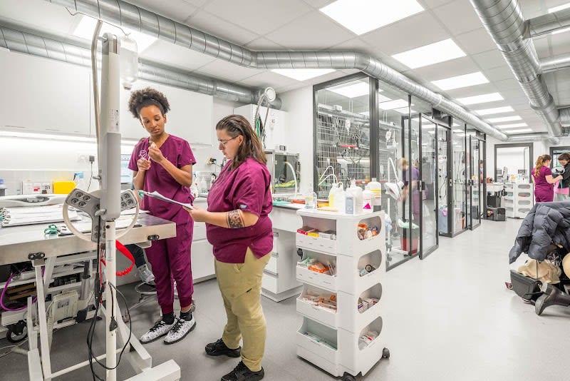 Clinique vétérinaire Crozatier - Référés, Urgences & Gardes 24h/24 - Paris - Sevetys — photo