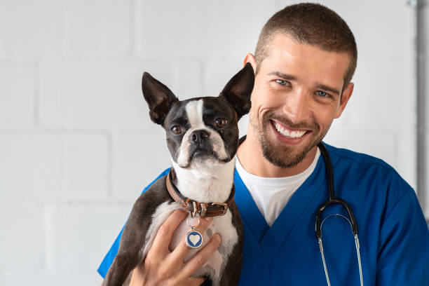 Maison des Urgences Vétérinaires — photo